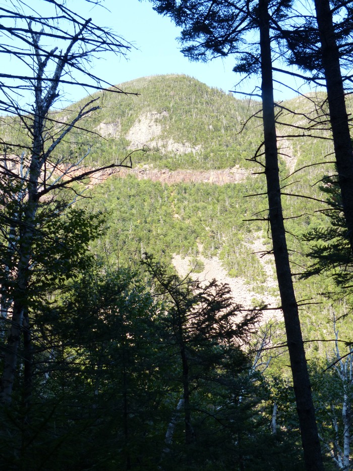 Cliffs on Anderson from Carrigain Notch trail